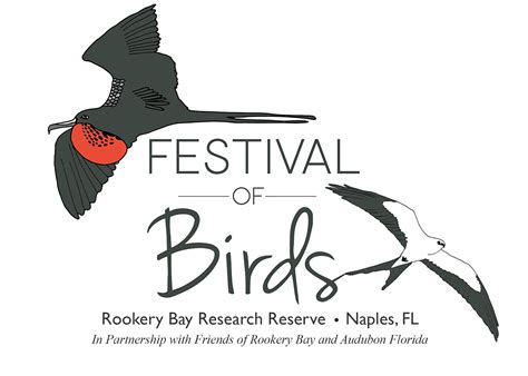 festival of birds 2024